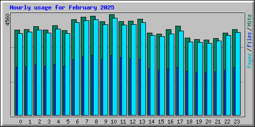 Hourly usage for February 2025