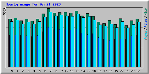 Hourly usage for April 2025