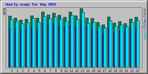 Hourly usage for May 2025