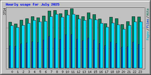 Hourly usage for July 2025