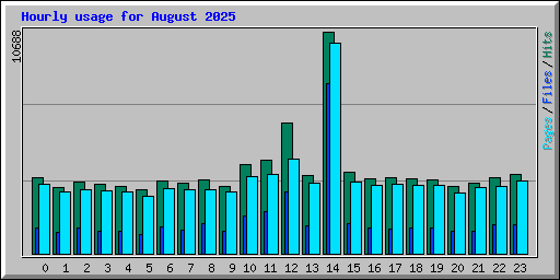 Hourly usage for August 2025