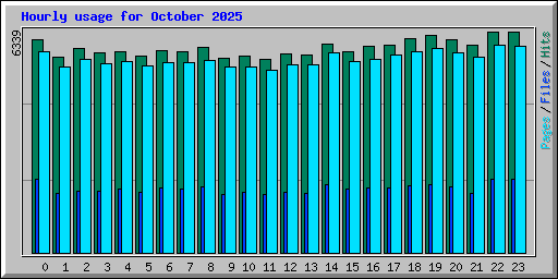 Hourly usage for October 2025