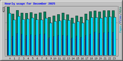Hourly usage for December 2025